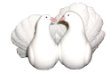 Lladro Doves